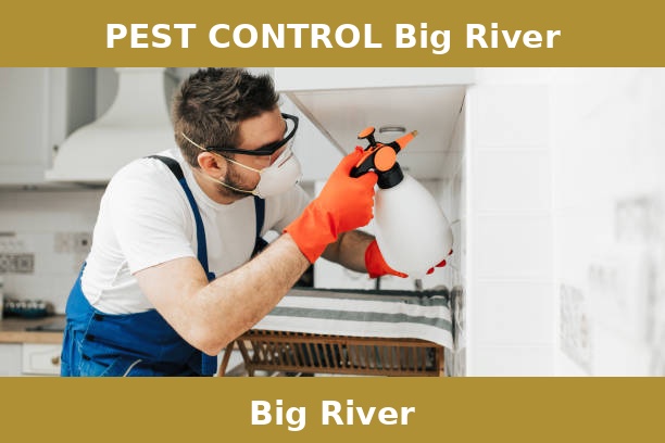 PEST CONTROL Big River